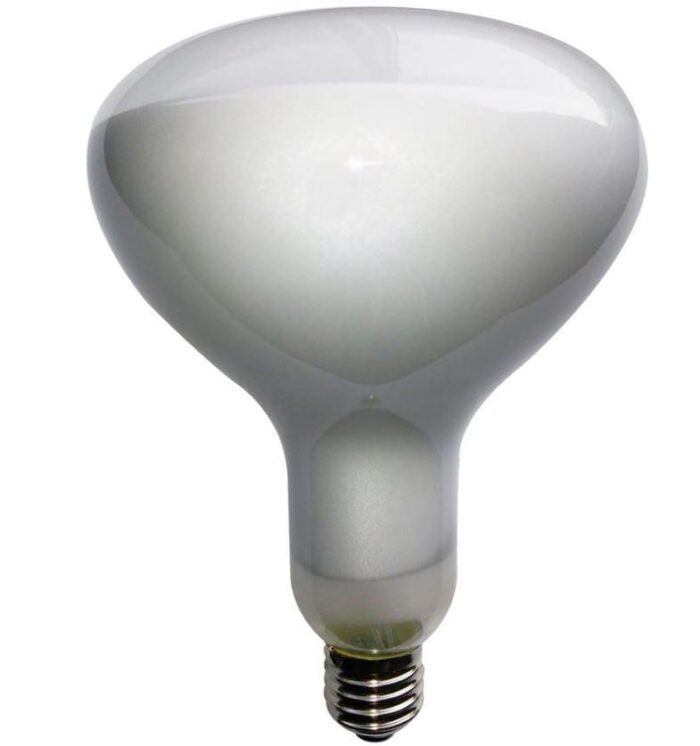 E27 R125 LED 12W 2700K DIMMERABILE