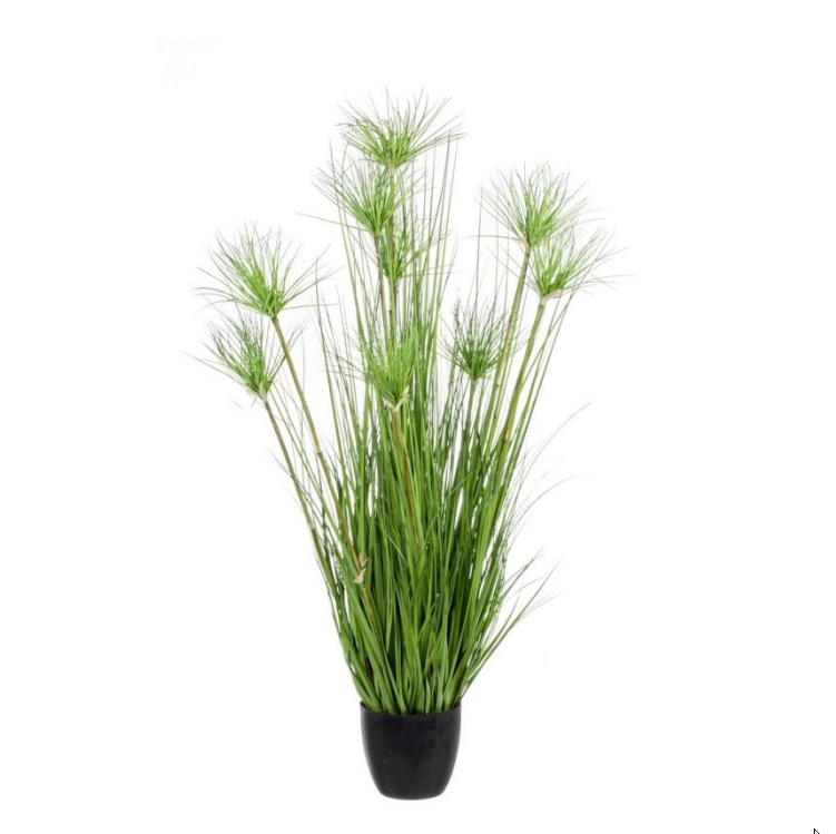 PIANTA DESERTO VERDE C-VASO X7F H90